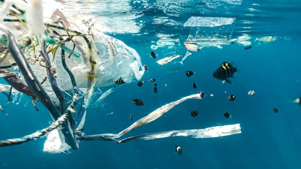 Underwater Environmental pollution