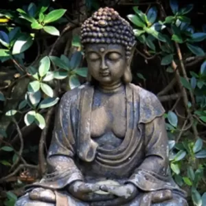 गौतम बुध आर्य सत्य (Bagman Goutam Buddha Arya Satya)